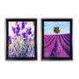 Wallity Cuadros Decorativos Enmarcados de 35 x 45 cm (2 Piezas)